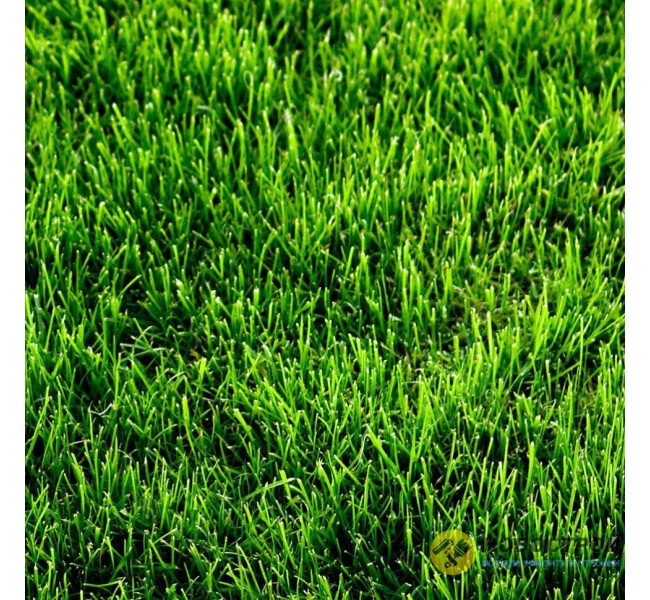 Искусственная трава High Grass 2м, Condor