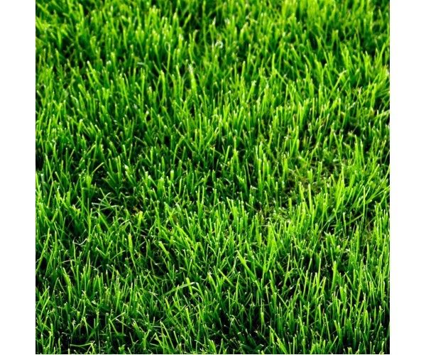 Искусственная трава High Grass 2м, Condor